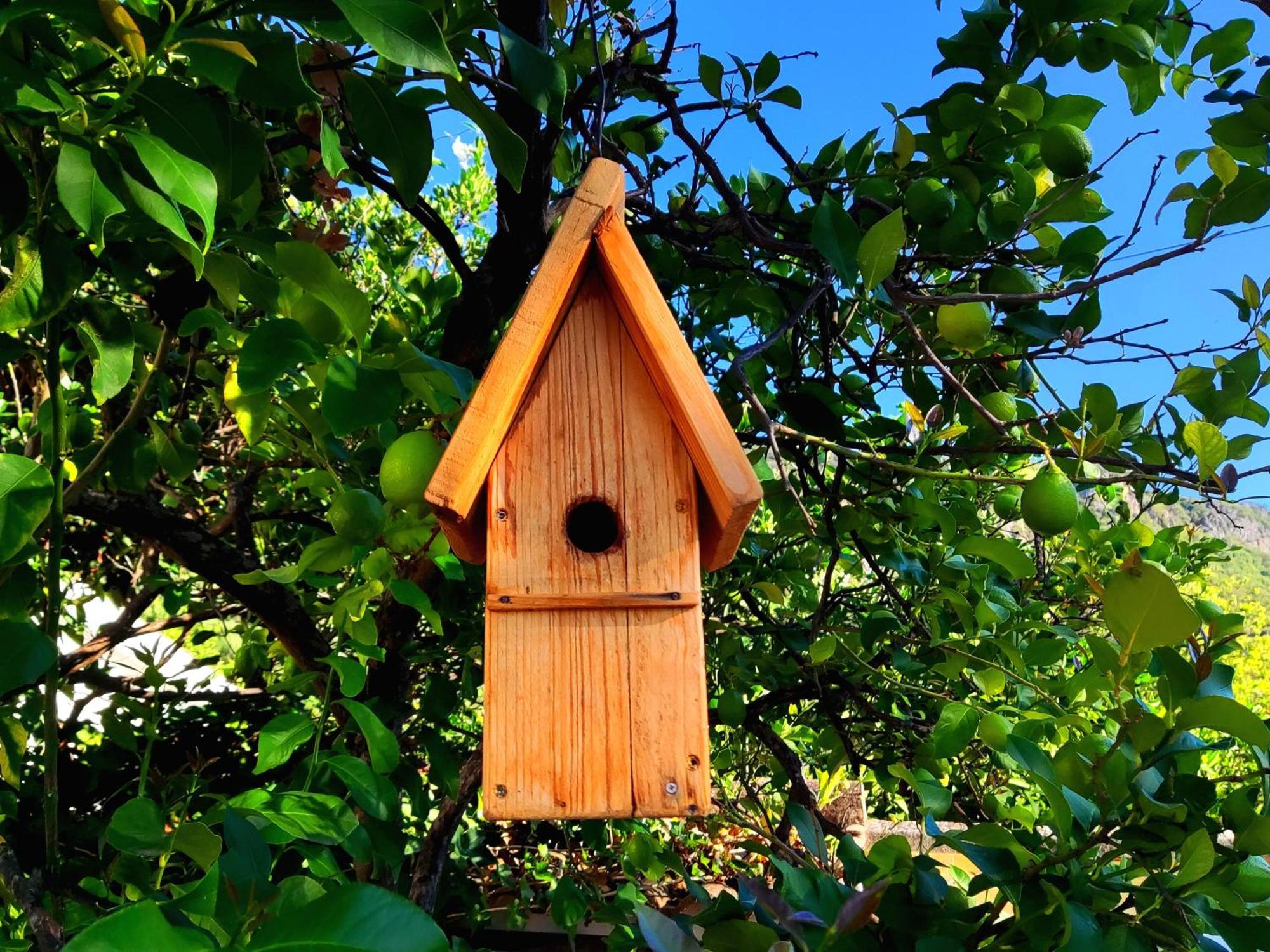 אל בוסקה La Casa Del Naturalista מראה חיצוני תמונה